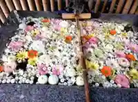 高円寺氷川神社(東京都)