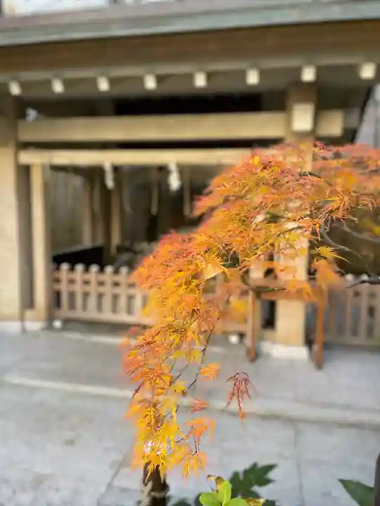 蔵前神社(東京都)