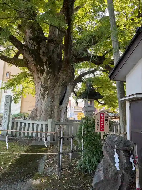 神明宮(石川県)