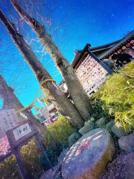 櫻木神社(千葉県)