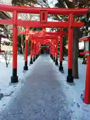 湯倉神社の鳥居