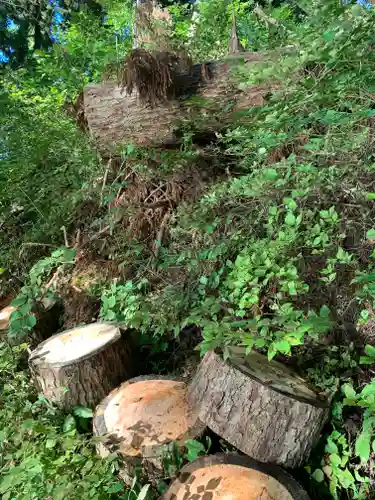 沼御前神社のその他建物