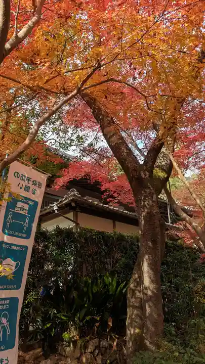乗願寺(京都府)