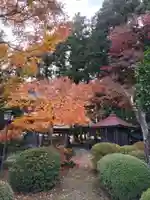 安楽寺の庭園