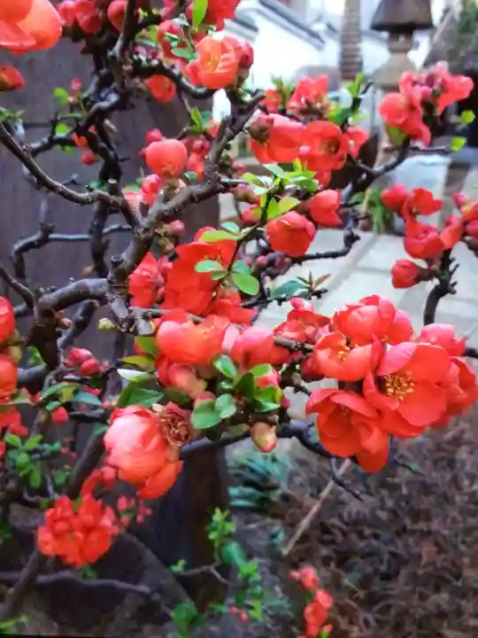 聖輪寺(東京都)