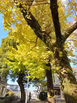 菅原神社(熊本県)