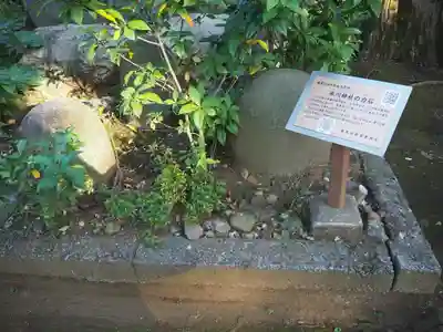 豊玉氷川神社のその他建物