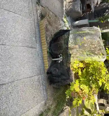 高津山 報恩院(大阪府)