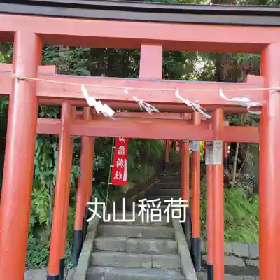 鶴岡八幡宮(神奈川県)