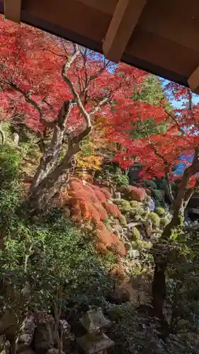 柳谷観音　楊谷寺(京都府)