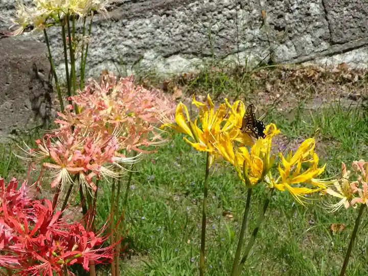 横浜 西方寺の自然