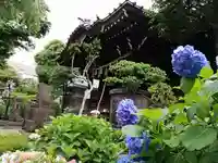 白山神社の本殿・本堂