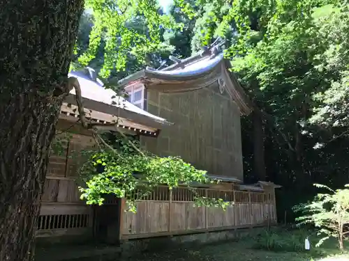 秦神社の本殿