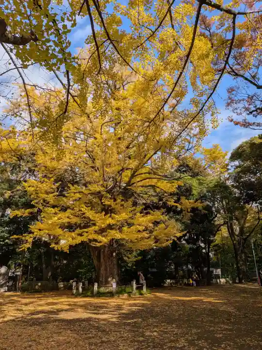 赤坂氷川神社(東京都)
