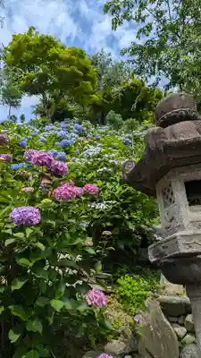 善峯寺(京都府)