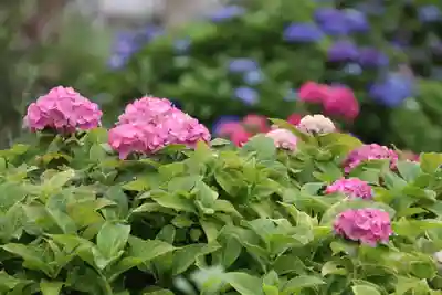 大鏑神社の周辺