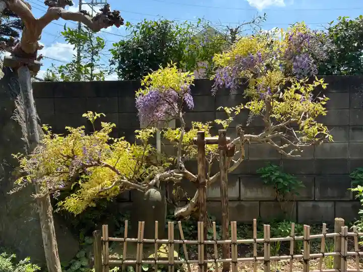 医王寺(千葉県)