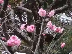 薬師院(神奈川県)