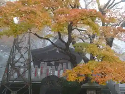 大山阿夫利神社の手水舎