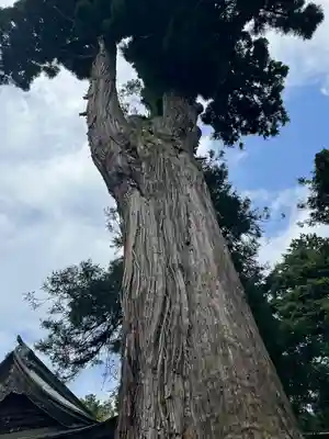 松尾寺(京都府)