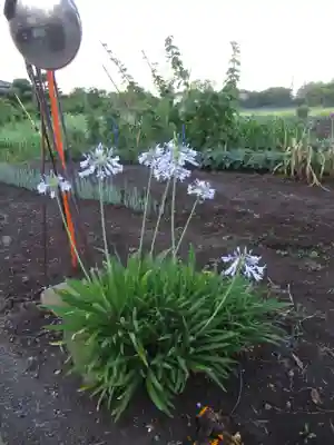 威徳院(千葉県)