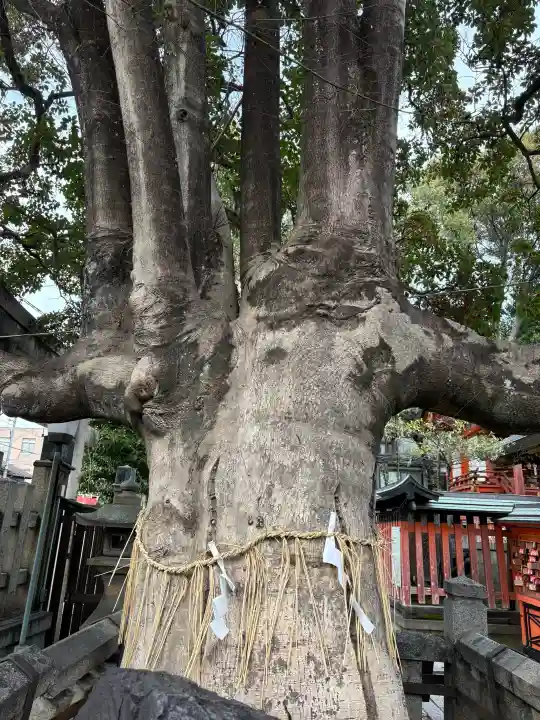 満足稲荷神社の{uncategorized: "未分類", other: "その他", undefined: "問題あり", building: "その他建物", grave: "お墓", sacred_gate: "鳥居", guardian: "狛犬", statue: "像", buddha: "仏像", history: "歴史", nature: "自然", garden: "庭園", animal: "動物", pagoda: "塔", temizu: "手水舎", mountain_gate: "山門・神門", sanctuary: "本殿・本堂", subordinate: "末社・摂社", art: "芸術", scenery: "景色", jizo: "地蔵", ema: "絵馬", goshuin: "御朱印", omikuji: "おみくじ", items: "授与品その他", amulet: "お守り", goshuincho: "御朱印帳", eats: "食事", festival: "お祭り", votive_dance: "神楽", shichigosan: "七五三参", wedding: "結婚式", experience: "体験その他", initially: "初詣", around: "周辺", anti_infection: "感染症対策"}