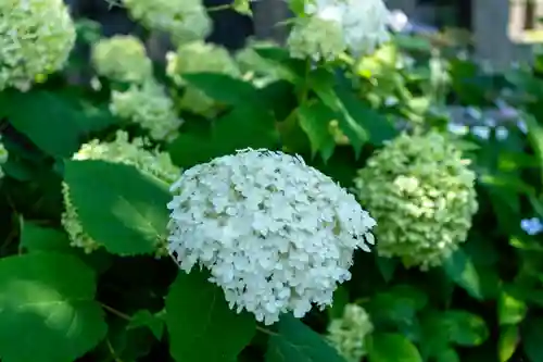 六孫王神社(京都府)