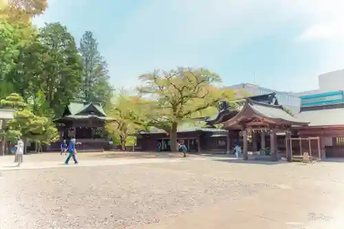 宇都宮二荒山神社(栃木県)