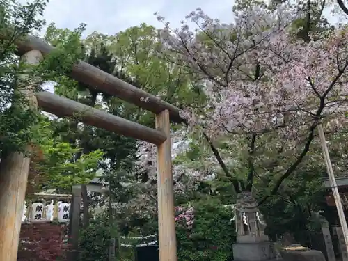 堀越神社の鳥居