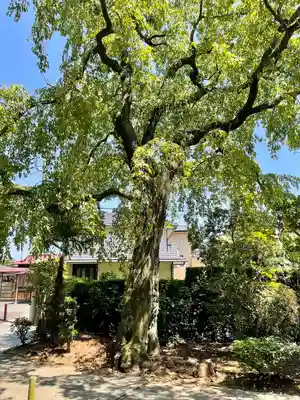 真福寺(神奈川県)