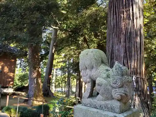 気多神社の狛犬