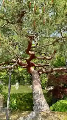 城南宮(京都府)