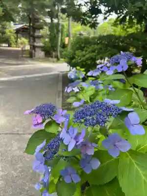 善光寺(長野県)