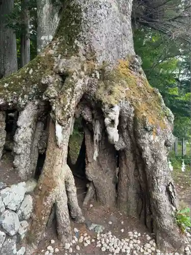 富士山東口本宮 冨士浅間神社(静岡県)