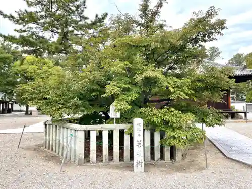 鶴林寺(兵庫県)