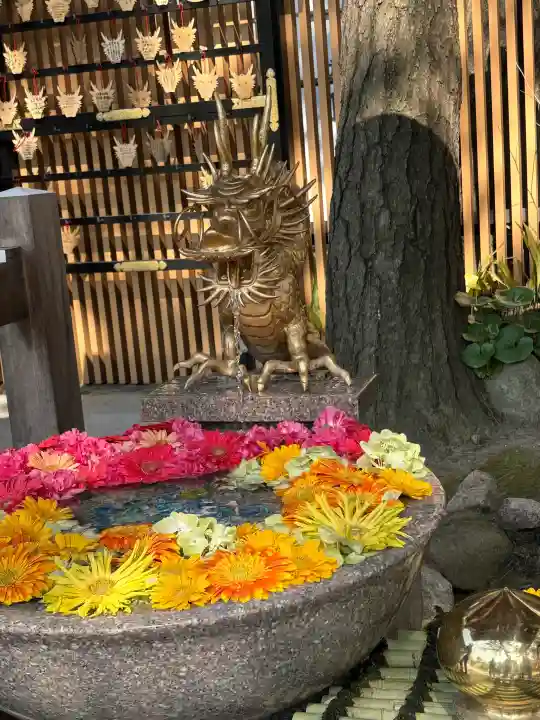 白山神社の{uncategorized: "未分類", other: "その他", undefined: "問題あり", building: "その他建物", grave: "お墓", sacred_gate: "鳥居", guardian: "狛犬", statue: "像", buddha: "仏像", history: "歴史", nature: "自然", garden: "庭園", animal: "動物", pagoda: "塔", temizu: "手水舎", mountain_gate: "山門・神門", sanctuary: "本殿・本堂", subordinate: "末社・摂社", art: "芸術", scenery: "景色", jizo: "地蔵", ema: "絵馬", goshuin: "御朱印", omikuji: "おみくじ", items: "授与品その他", amulet: "お守り", goshuincho: "御朱印帳", eats: "食事", festival: "お祭り", votive_dance: "神楽", shichigosan: "七五三参", wedding: "結婚式", experience: "体験その他", initially: "初詣", around: "周辺", anti_infection: "感染症対策"}