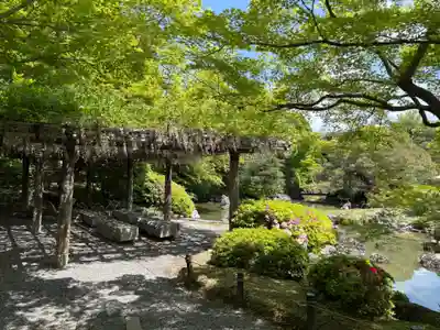 城南宮(京都府)