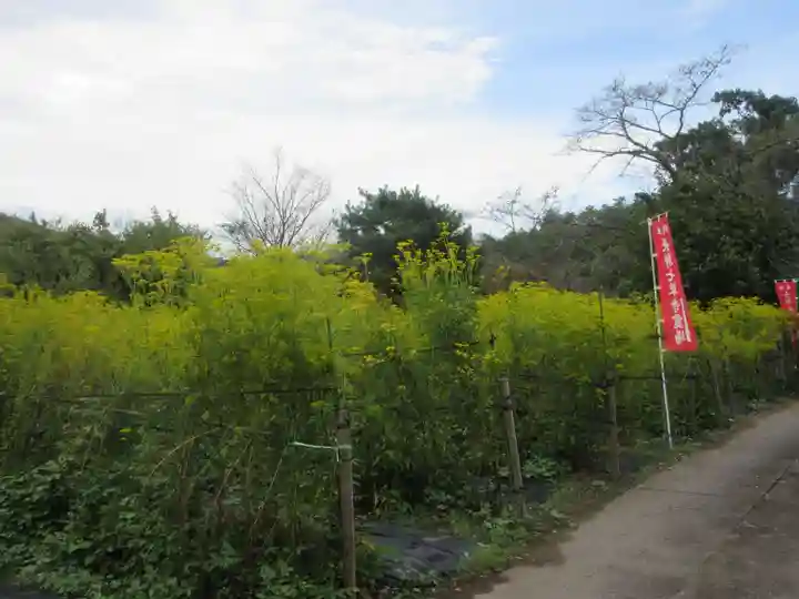 真性寺(埼玉県)