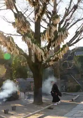 達磨堂 円福寺 (京都府)