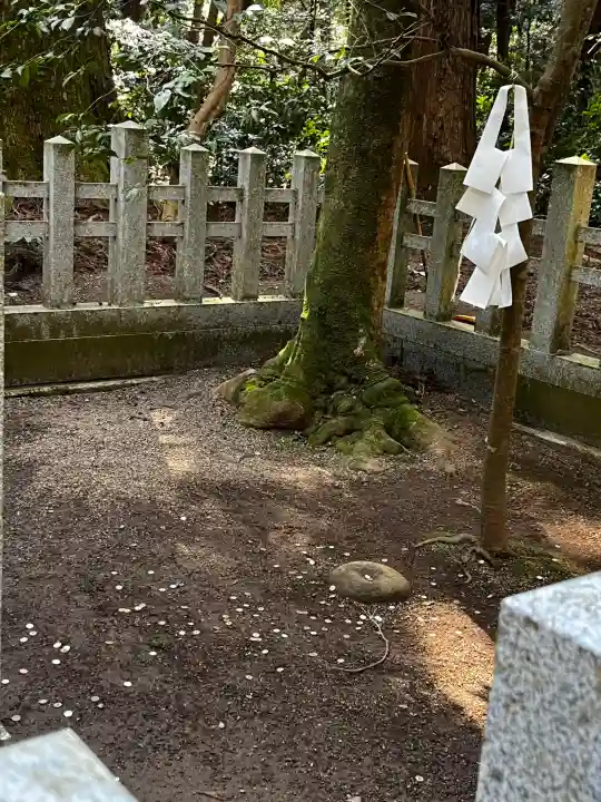 鹿島神宮の{uncategorized: "未分類", other: "その他", undefined: "問題あり", building: "その他建物", grave: "お墓", sacred_gate: "鳥居", guardian: "狛犬", statue: "像", buddha: "仏像", history: "歴史", nature: "自然", garden: "庭園", animal: "動物", pagoda: "塔", temizu: "手水舎", mountain_gate: "山門・神門", sanctuary: "本殿・本堂", subordinate: "末社・摂社", art: "芸術", scenery: "景色", jizo: "地蔵", ema: "絵馬", goshuin: "御朱印", omikuji: "おみくじ", items: "授与品その他", amulet: "お守り", goshuincho: "御朱印帳", eats: "食事", festival: "お祭り", votive_dance: "神楽", shichigosan: "七五三参", wedding: "結婚式", experience: "体験その他", initially: "初詣", around: "周辺", anti_infection: "感染症対策"}