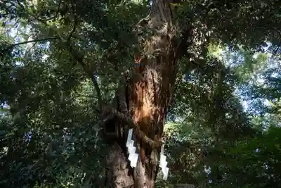 賀茂御祖神社（下鴨神社）(京都府)