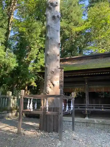 諏訪大社下社春宮の自然