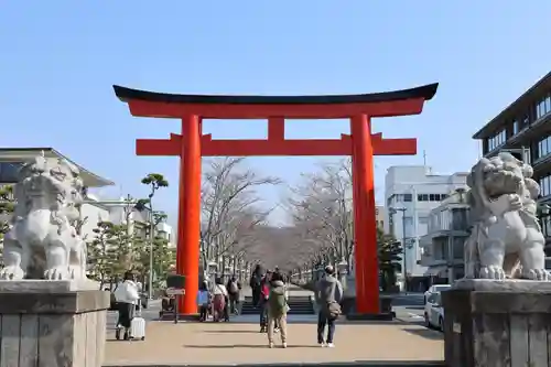 鶴岡八幡宮の鳥居
