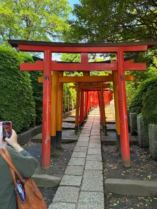 根津神社の{uncategorized: "未分類", other: "その他", undefined: "問題あり", building: "その他建物", grave: "お墓", sacred_gate: "鳥居", guardian: "狛犬", statue: "像", buddha: "仏像", history: "歴史", nature: "自然", garden: "庭園", animal: "動物", pagoda: "塔", temizu: "手水舎", mountain_gate: "山門・神門", sanctuary: "本殿・本堂", subordinate: "末社・摂社", art: "芸術", scenery: "景色", jizo: "地蔵", ema: "絵馬", goshuin: "御朱印", omikuji: "おみくじ", items: "授与品その他", amulet: "お守り", goshuincho: "御朱印帳", eats: "食事", festival: "お祭り", votive_dance: "神楽", shichigosan: "七五三参", wedding: "結婚式", experience: "体験その他", initially: "初詣", around: "周辺", anti_infection: "感染症対策"}