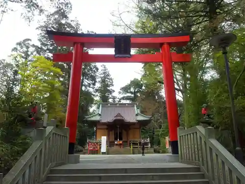 白笹稲荷神社の鳥居