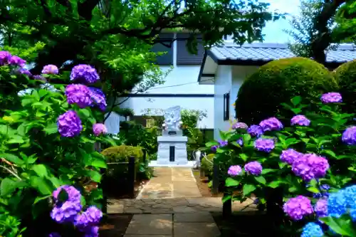 妙楽寺(神奈川県)