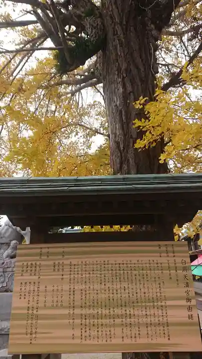 白潟天満宮の歴史