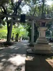 赤坂氷川神社(東京都)