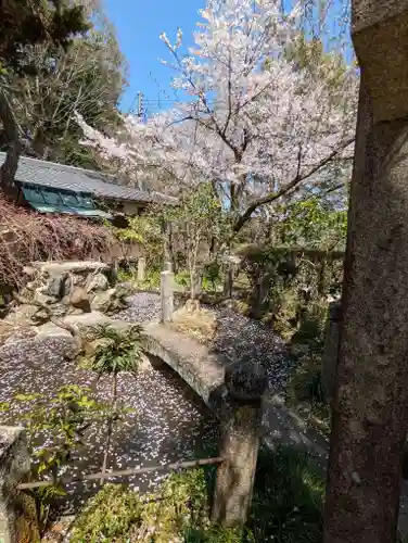岩屋寺(京都府)