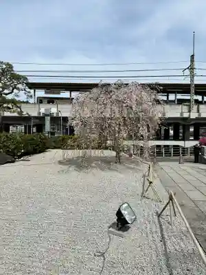 大光寺(東京都)